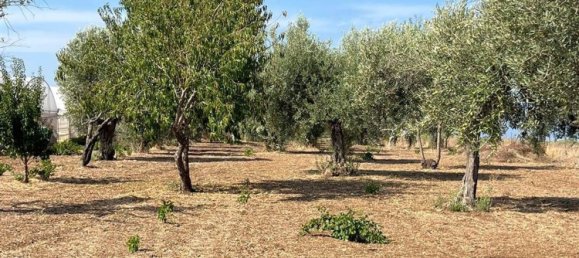  قطعة أرض في Pachino, Italy رقم 338991 8