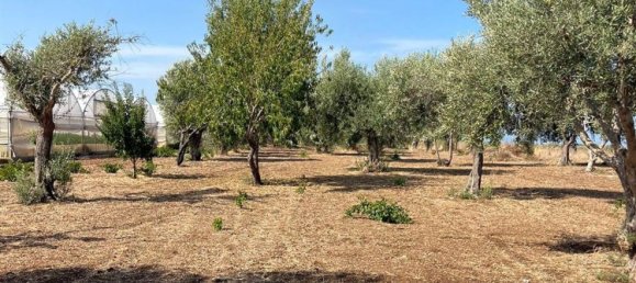  قطعة أرض في Pachino, Italy رقم 338991 9