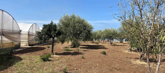  قطعة أرض في Pachino, Italy رقم 338991 10