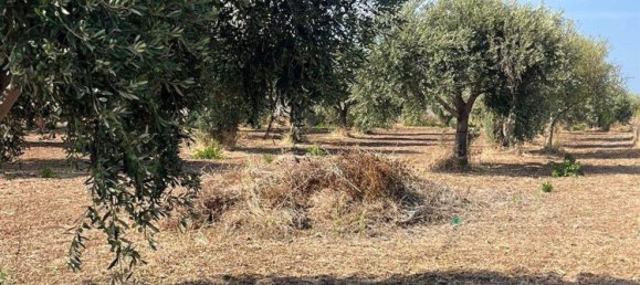  قطعة أرض في Pachino, Italy رقم 338991 14