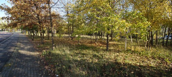 Земельный участок в Лейпциг, Германия № 35236 7