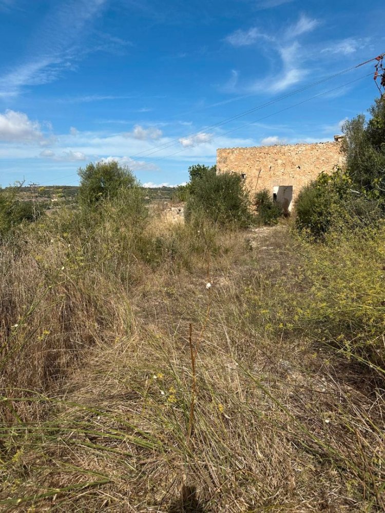 Grundstück in Manacor, Spain 15243m², Nr. 192194