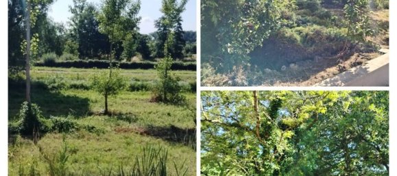 3 chambres Maison à Beffes, France No. 322707 2