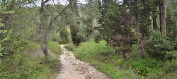 10000m² Hotel in Corfu, Greece No. 4431 5