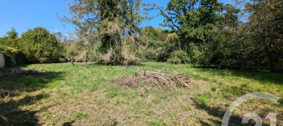 7 bedrooms House in Villers-Cotterets, France No. 238946 17