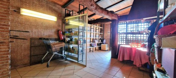  عقار تجاري في Panoias de Cima, Portugal 400متر مربع رقم 164502 3