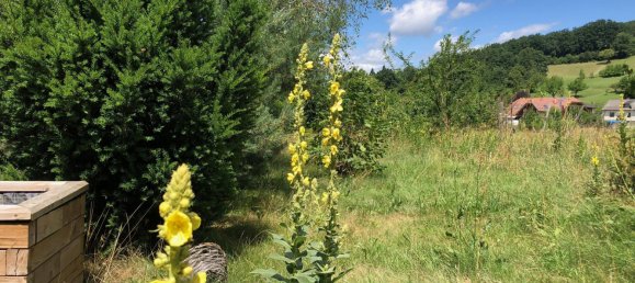 Casa de 6 habitaciónes en Neustift-Innermanzing, Austria No. 199274 24