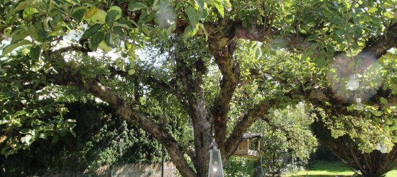 5-salle Maison à Nuremberg, Germany No. 337162 9