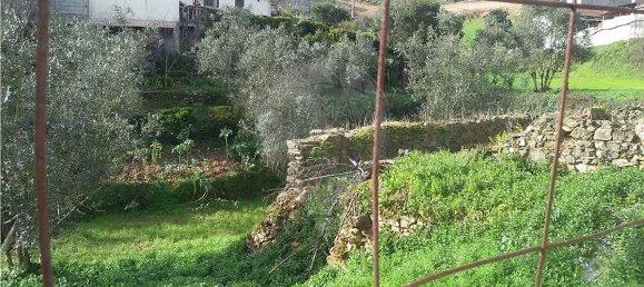 2 Schlafzimmer Haus in Mortagua, Portugal, Nr. 24758 4