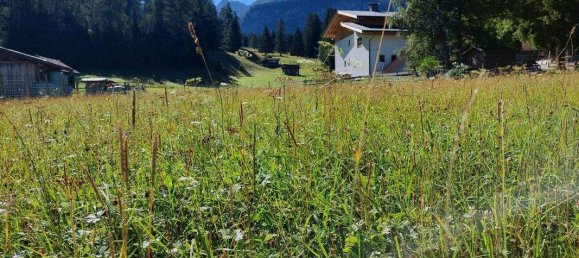 قطعة أرض في Ehrwald, Austria رقم 225004 4