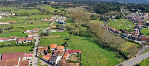 2 غرف نوم منزل في Avelas de Caminho, Portugal رقم 48522 16