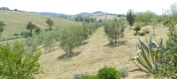 Квартира с 2 спальнями в Биббона, Италия № 235334 16