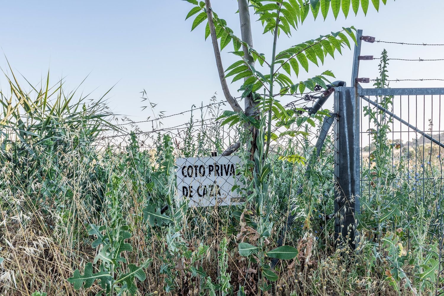  Land in Navalcarnero, Spain No. 113225