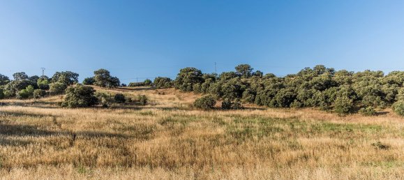  Land in Navalcarnero, Spain No. 113225 12
