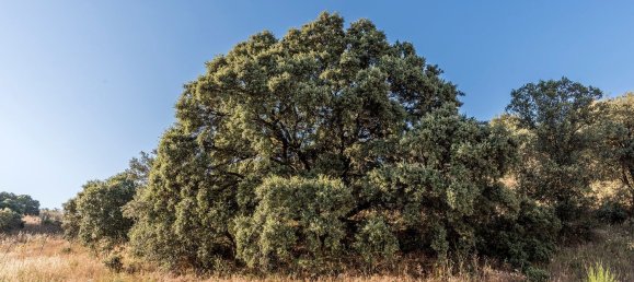  Land in Navalcarnero, Spain No. 113225 35