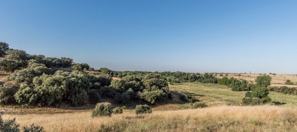  Land in Navalcarnero, Spain No. 113225 37