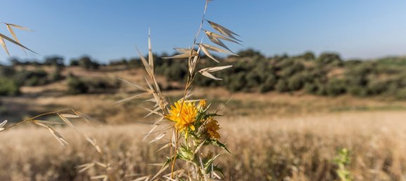  Land in Navalcarnero, Spain No. 113225 27