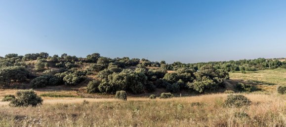  Land in Navalcarnero, Spain No. 113225 9