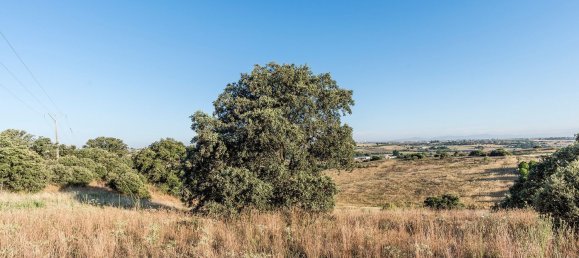  Land in Navalcarnero, Spain No. 113225 13