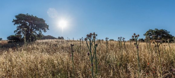  Land in Navalcarnero, Spain No. 113225 38