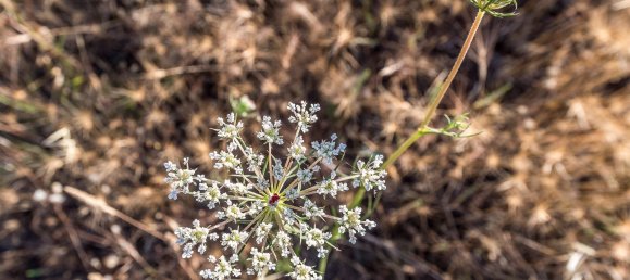  Land in Navalcarnero, Spain No. 113225 32