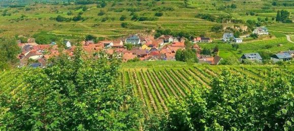 Земельный участок 2318м² в Фрайбург им Брайсгау, Германия № 311060 14