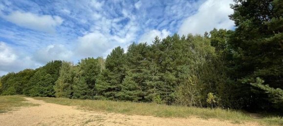 Grundstück in Oberhavel, Germany, Nr. 58953 4