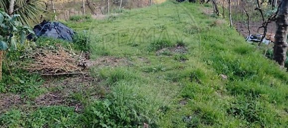 1 bedroom House in Marco de Canaveses, Portugal No. 23876 10