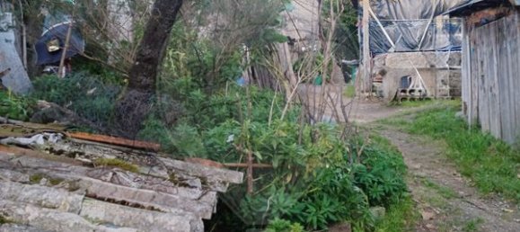 1 bedroom House in Marco de Canaveses, Portugal No. 23876 3