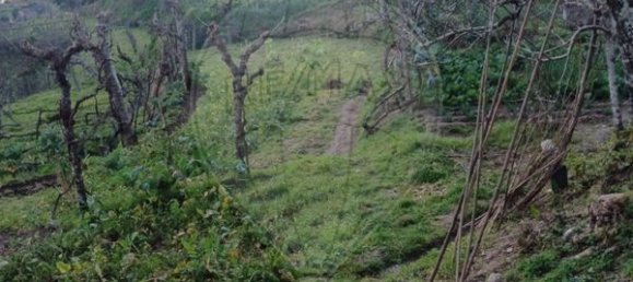 1 bedroom House in Marco de Canaveses, Portugal No. 23876 9