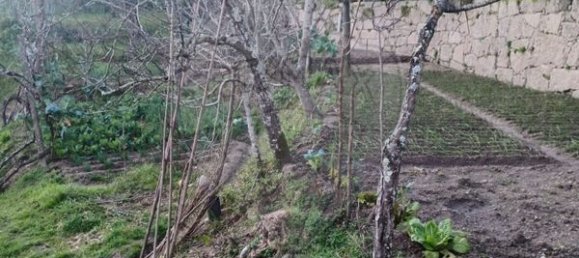 1 bedroom House in Marco de Canaveses, Portugal No. 23876 7