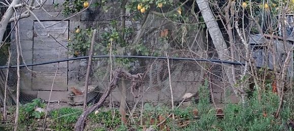 1 bedroom House in Marco de Canaveses, Portugal No. 23876 5