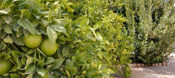 Дом с 7 спальнями в Аликанте, Испания № 50817 60