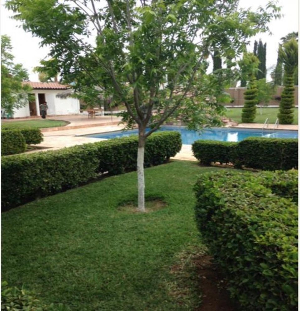 3 bedrooms House in Playa Vicente, Mexico No. 148451