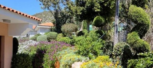 Propriedade comercial T4 em Tala, Cyprus N.º 9844 4