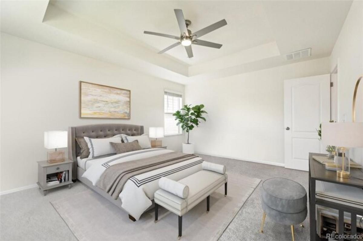 Casa T3 em Fort Collins, USA N.º 394248