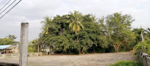  Commercial property in Bang Lamung, Thailand No. 517 7