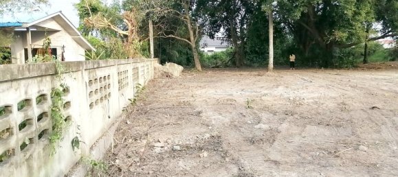  Commercial property in Bang Lamung, Thailand No. 517 8