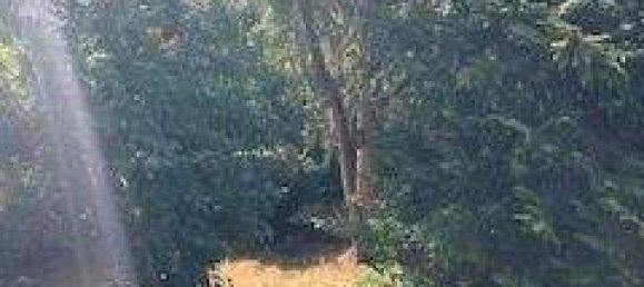 8-Zimmer Stadthaus in Würzburg, Germany, Nr. 329952 8