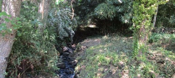 4 غرف نوم منزل في Haute-Saone, France رقم 360252 10