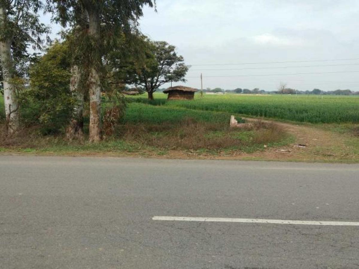  Land in Noida, India No. 33375