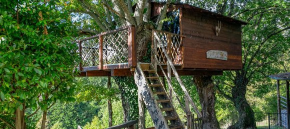 Hôtel à Gavorrano, Italy 1790m² No. 17555 2