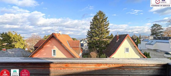 11 rooms Villa in Hausleiten, Austria No. 174772 21