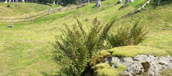 6 bedrooms House in Rocca Pietore, Italy No. 346300 3