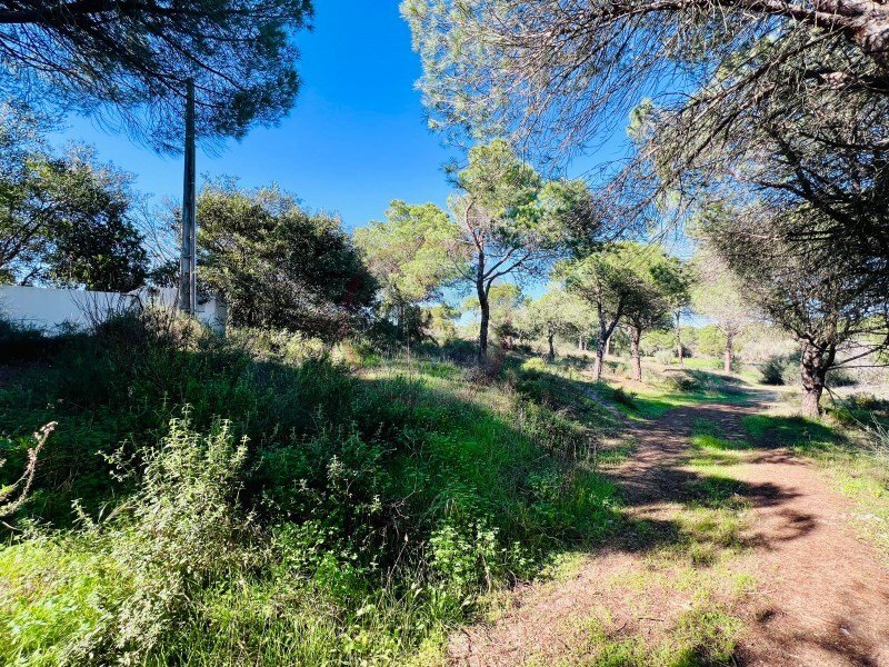 Terreno em Faro, Portugal N.º 237471