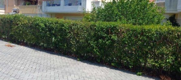 Недвижимость с 3 спальнями в Керкира, Греция № 3009 17