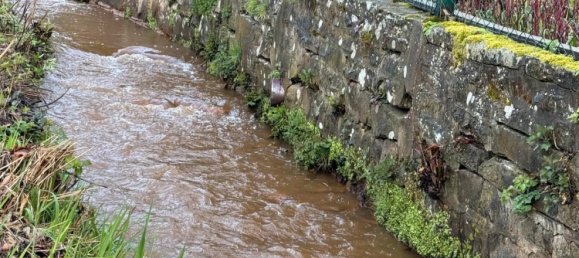 Земельный участок в Хамельн-Пирмонт, Германия № 172069 6