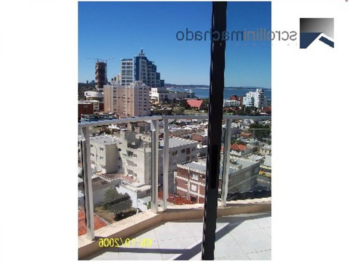 Studio in Maldonado, Uruguay, Nr. 8864