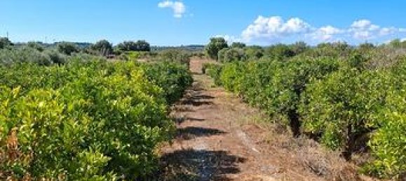 Terrain à Augusta, Italy 5100m² No. 272112 4