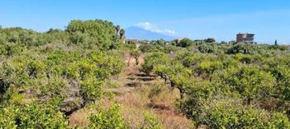 Terrain à Augusta, Italy 5100m² No. 272112 6